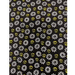 black yellow and white small daisy