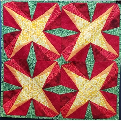 Beginning Paper Piecing
Learn Paper piecing
Class is $40 plus supplies