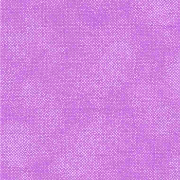 SURFACE LAVENDER